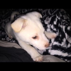 Meet your Posher, Mary